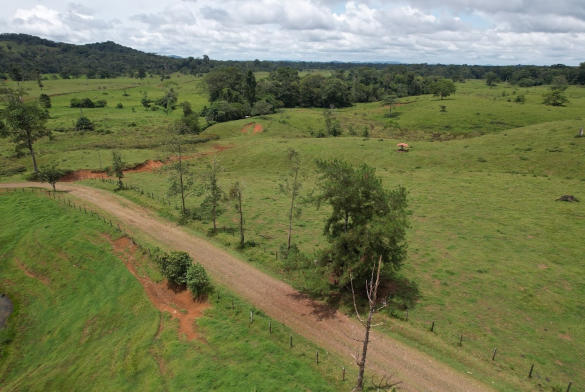 Fincas de Costa Rica